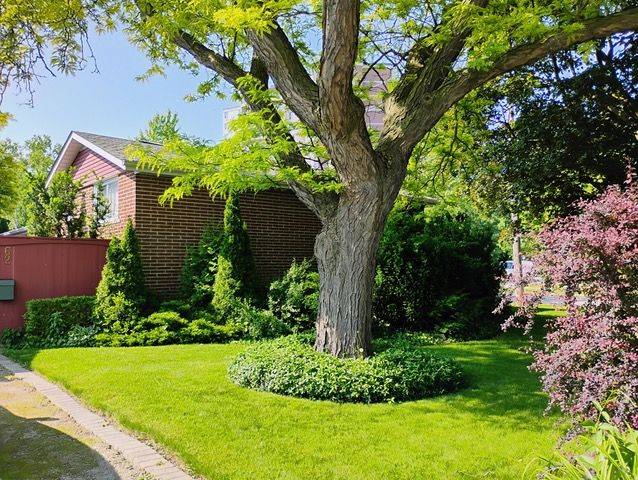 Toronto C15, ON M2J 2Z7,62 Kempsell CRES
