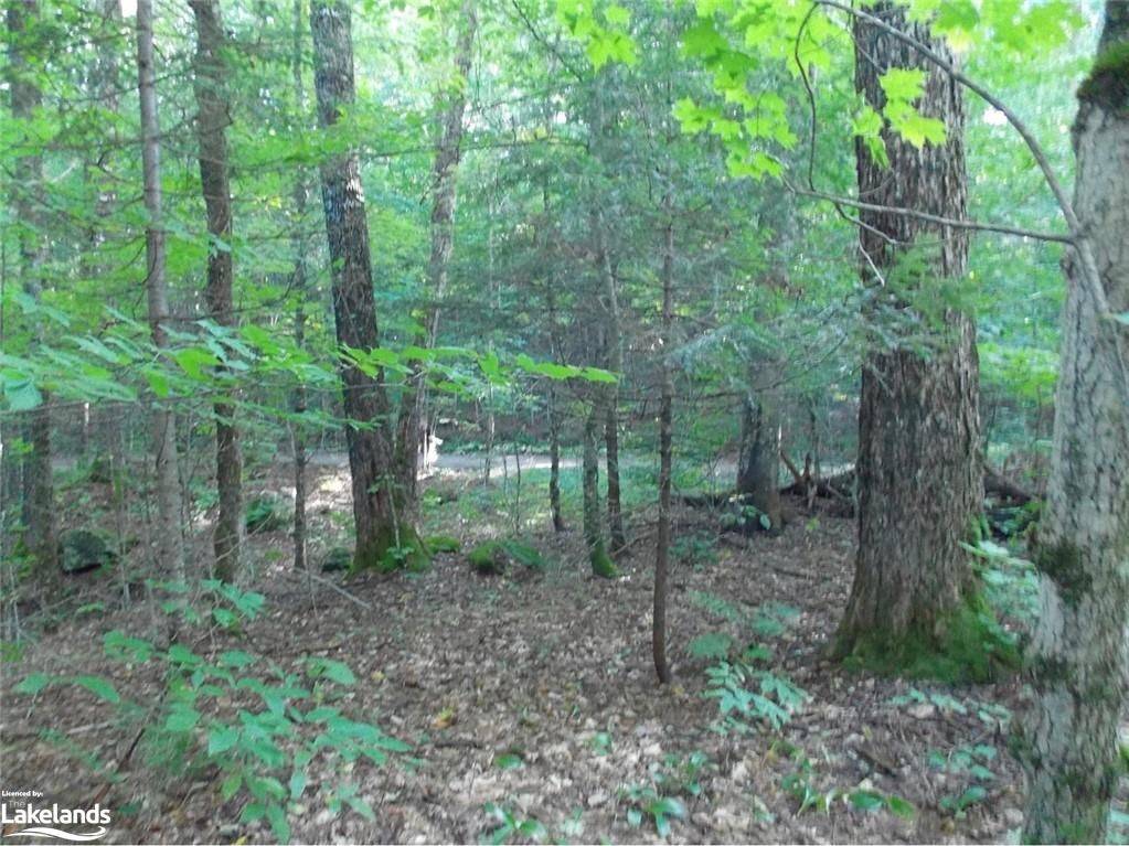 Lake Of Bays, ON P0A 1H0,0 Angle Lake RD