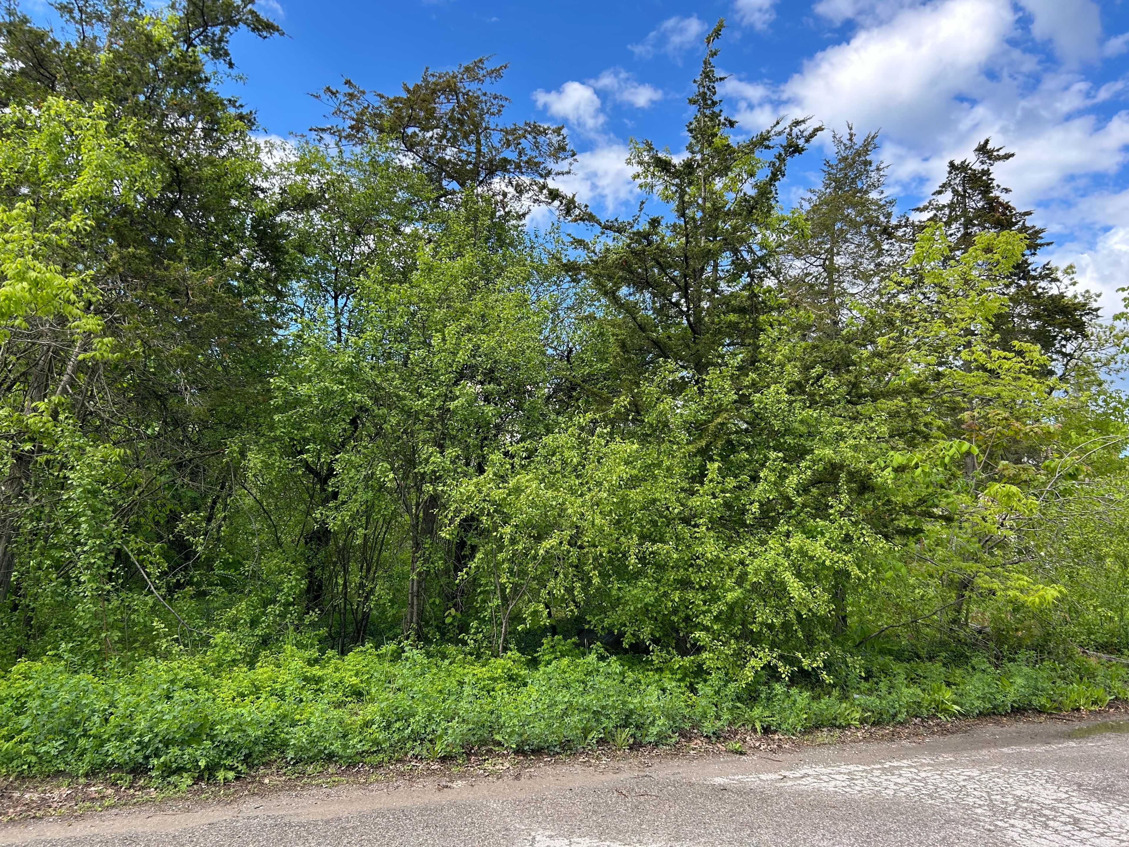 Kawartha Lakes, ON K0M 1A0,0 Snake Point RD