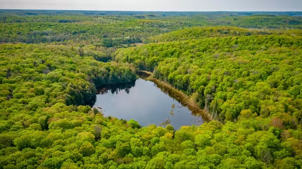 Lake Of Bays, ON P0A 1H0,0 Angle Lake RD