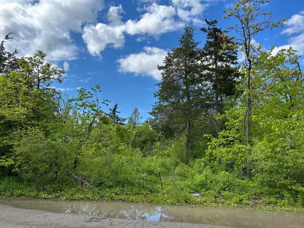 Kawartha Lakes, ON K0M 1A0,0 Snake Point RD