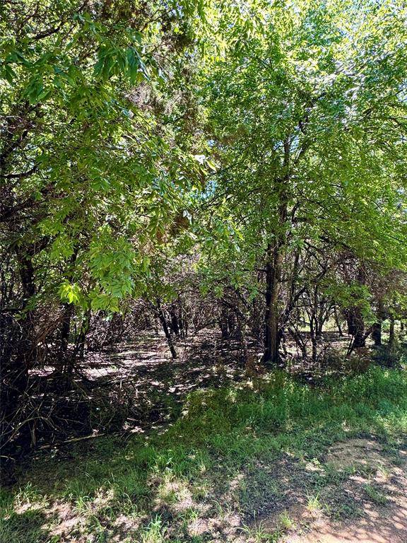 Whitney, TX 76692,1504 Deerwood Court