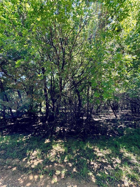 Whitney, TX 76692,1504 Deerwood Court