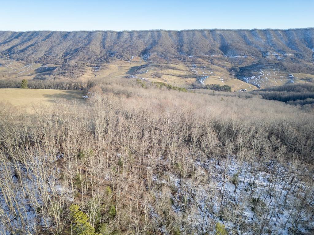 Rocky Gap, VA 24366,92 Acres Laurel Fork Rd