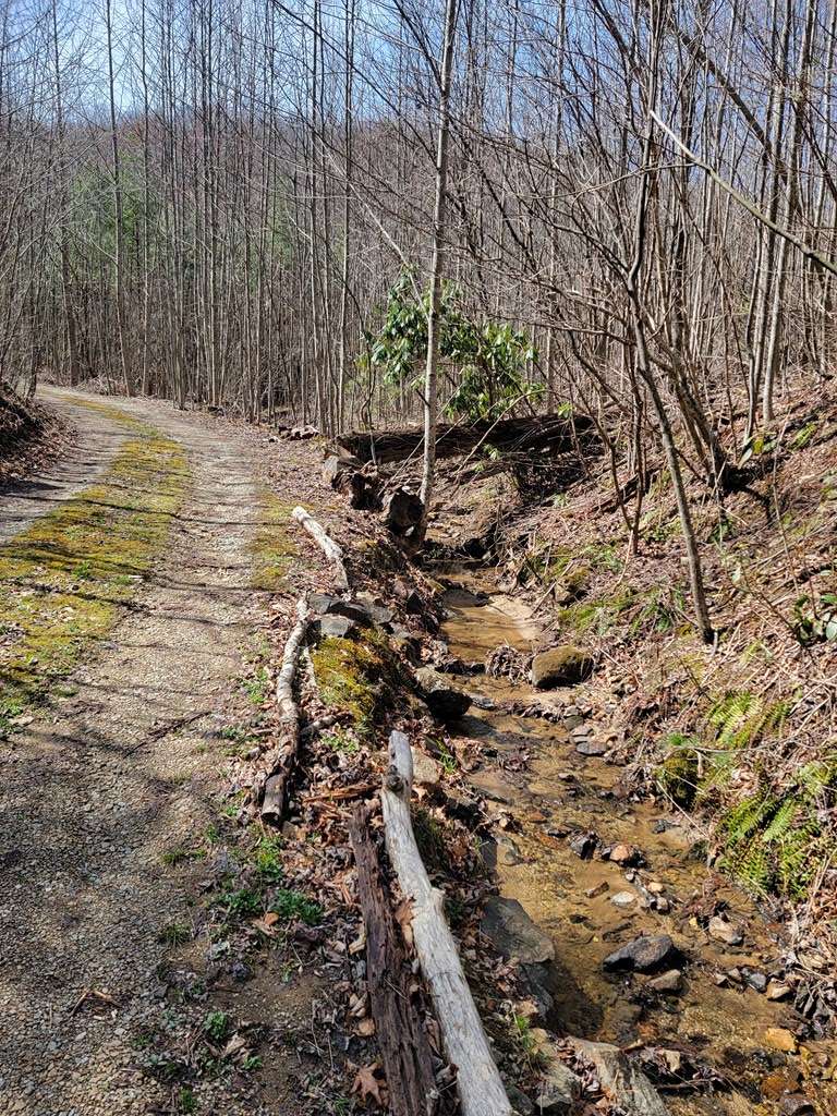 Elk Creek, VA 24326,TBD Spring Valley Rd