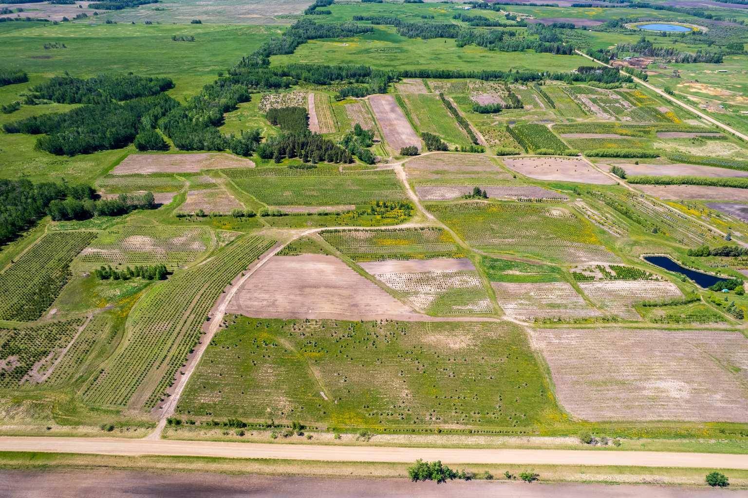 Rural Wetaskiwin No. 10 County Of, AB T0C 1H0,272007 Twp Rd 452