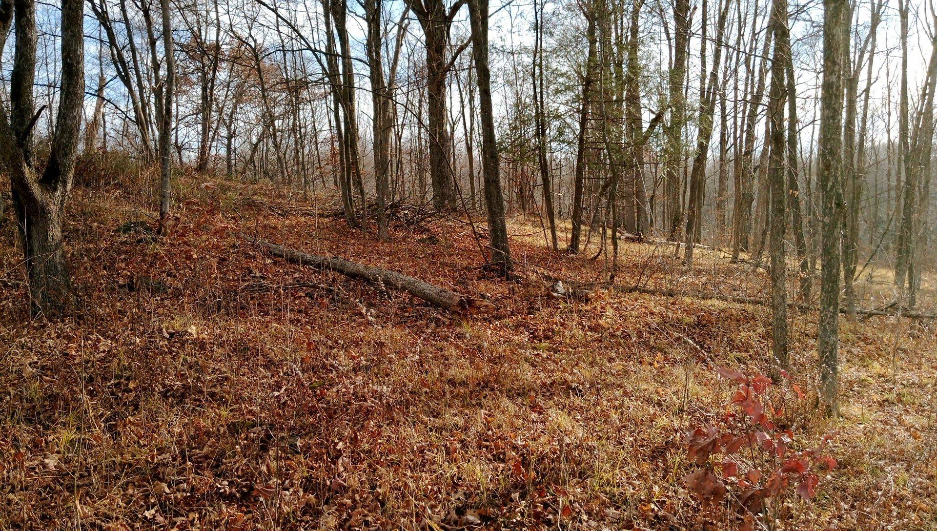 00 Tryon RD, Central Frontenac, ON K0H 2P0
