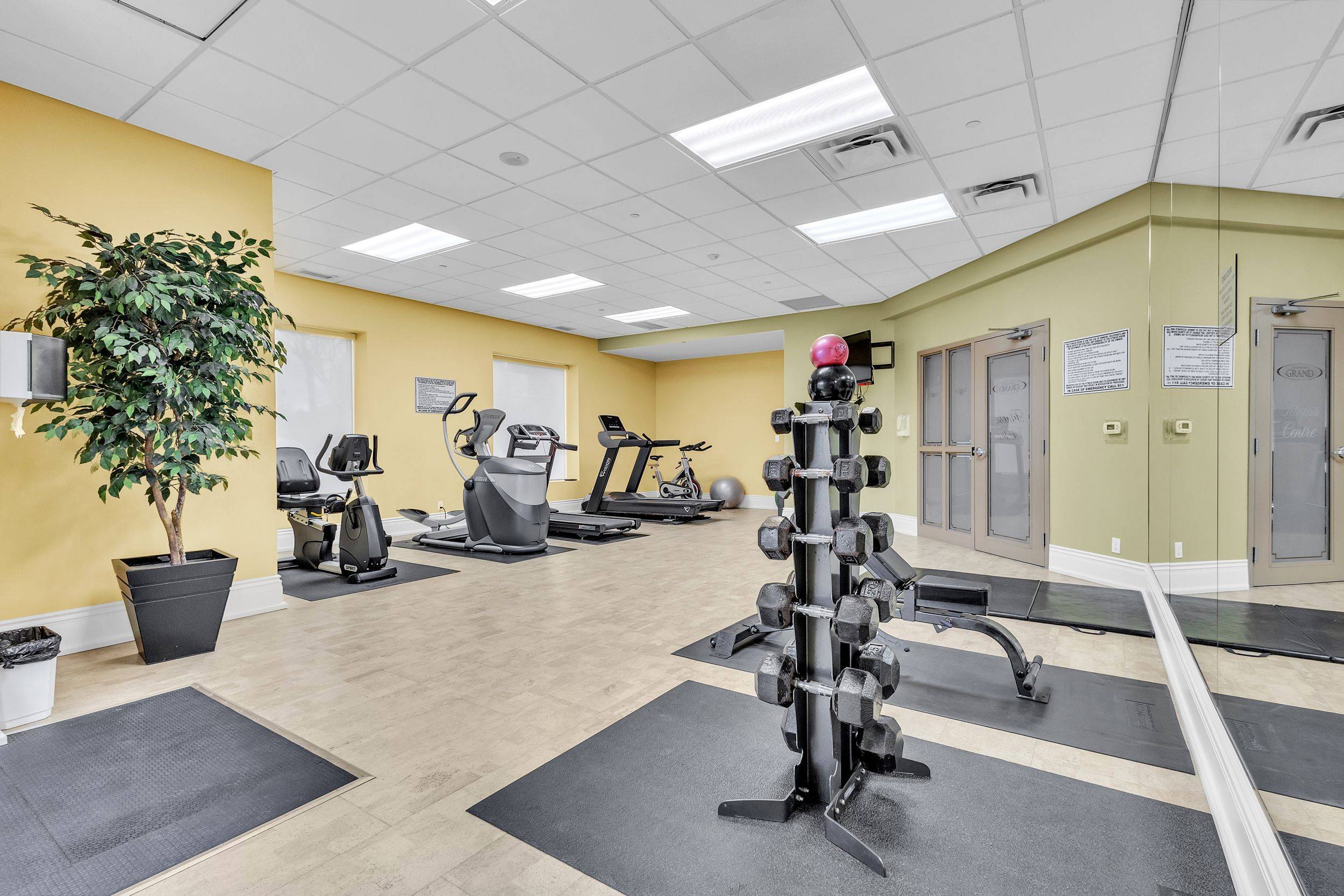 Waterloo, ON N2L 0B3,223 Erb ST W #502