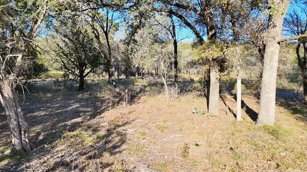 Mineral Wells, TX 76067,124 Wooded Acres Drive
