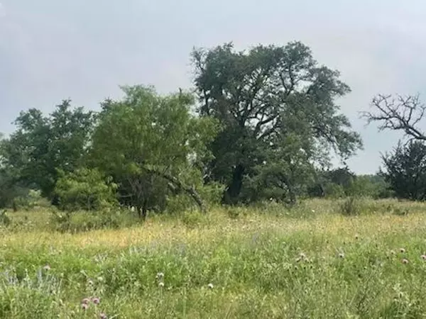 Lampasas, TX 76550,# 175 Cross Timber Ranch Drive