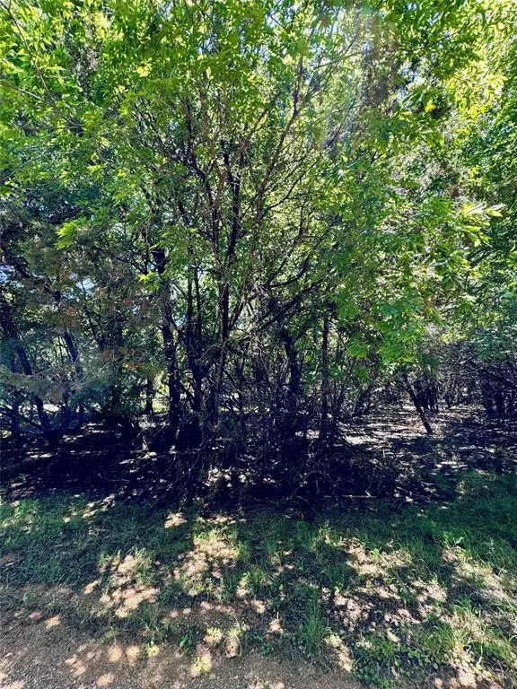 Whitney, TX 76692,1504 Deerwood Court