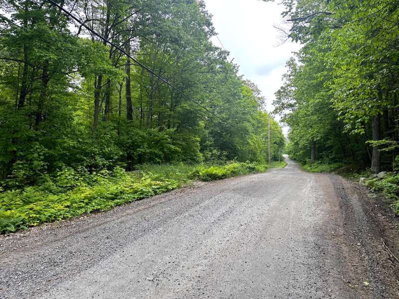 Address Not Disclosed