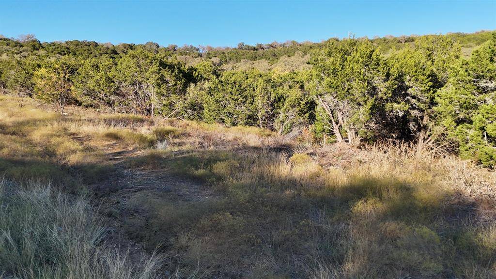 Mineral Wells, TX 76067,LOT 187 Wooded Acres Dr Drive