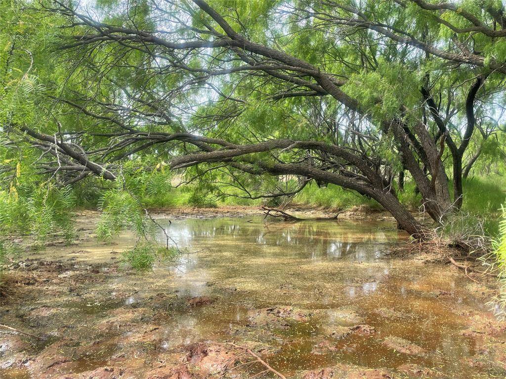 Rotan, TX 79520,398.32 Ac Hwy 92