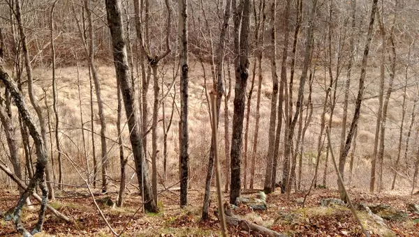 Frontenac, ON K0H 2P0,0 Tryon RD