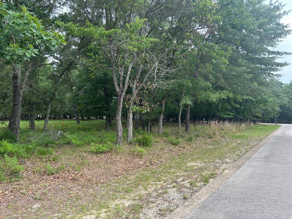 Athens, TX 75752,TBD CAROLINE Court