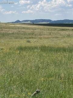 Calhan, CO 80808,Tract 1 Lemesany RD