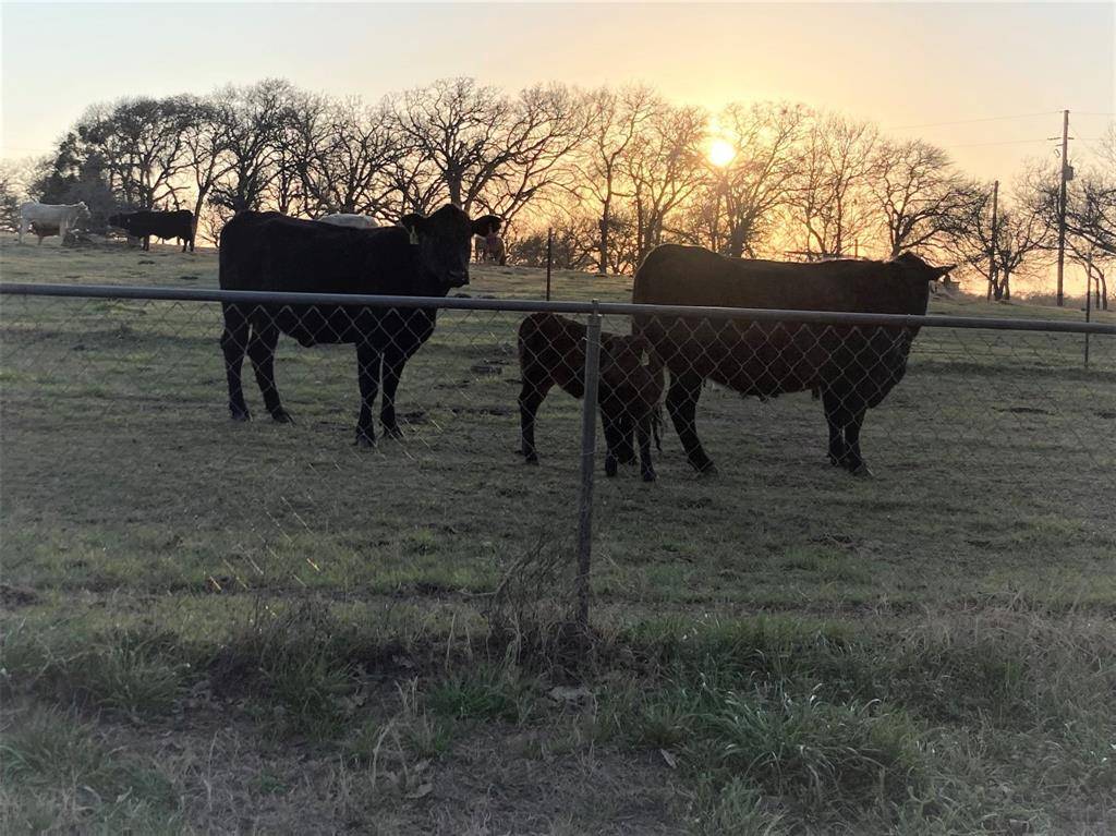 Covington, TX 76636,0 TBD Hcr 1414