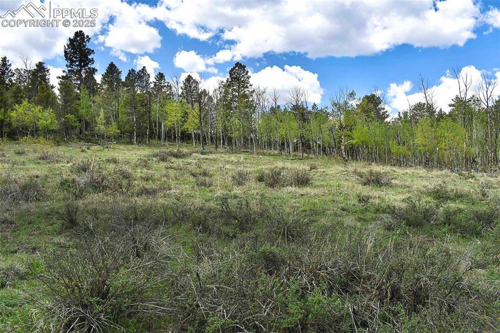 Lake George, CO 80827,130 Rock DR