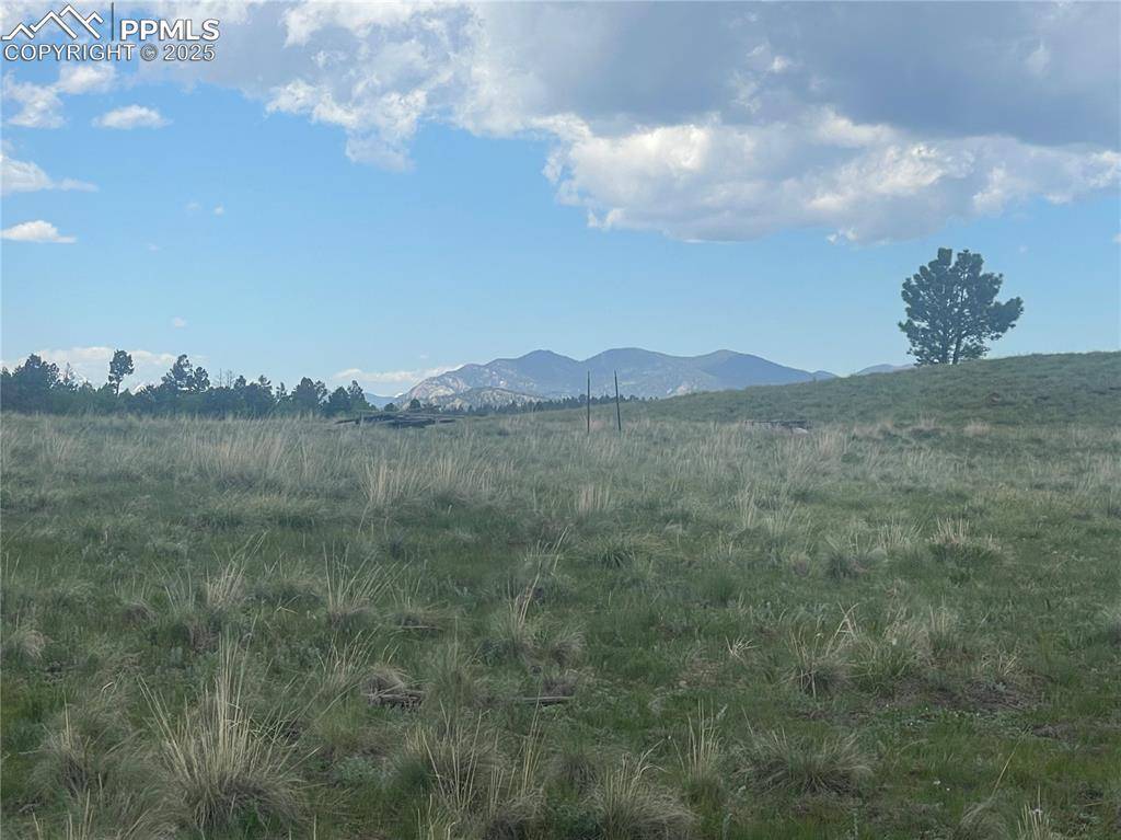 309 Castle Mountain DR, Florissant, CO 80816