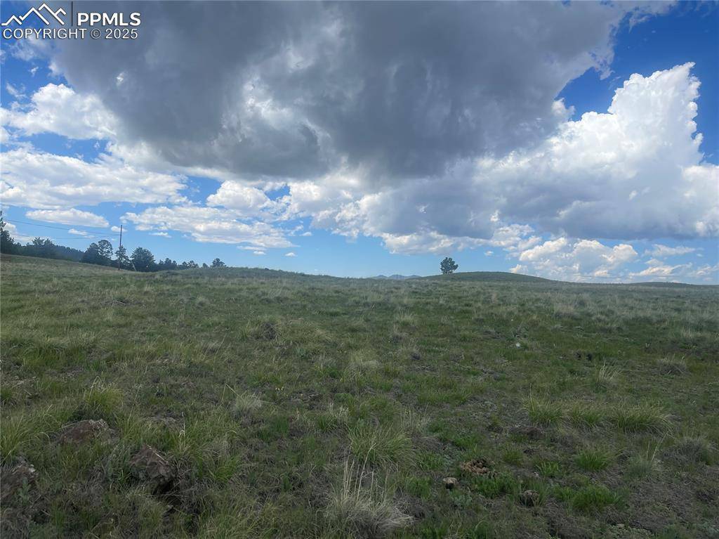 Florissant, CO 80816,309 Castle Mountain DR