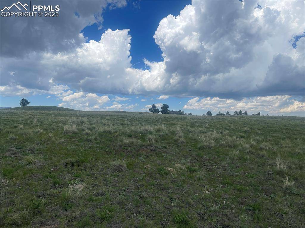 Florissant, CO 80816,309 Castle Mountain DR