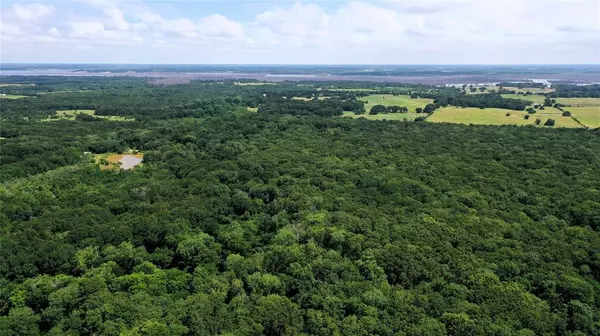 Ivanhoe, TX 75447,TBD County Road 2620