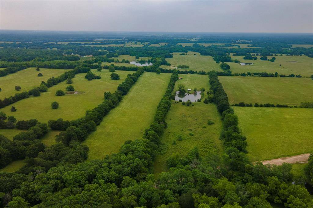 Paris, TX 75462,TBD Stillhouse
