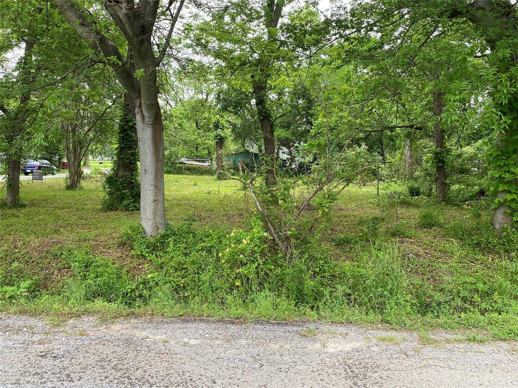 Bonham, TX 75418,102 Elm Street