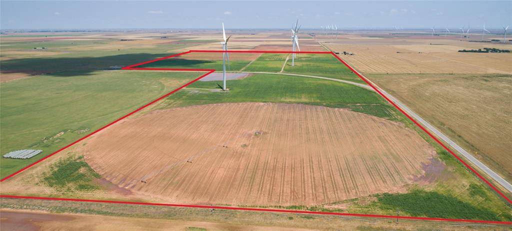 O'brien, TX 79539,TBD FM 2229