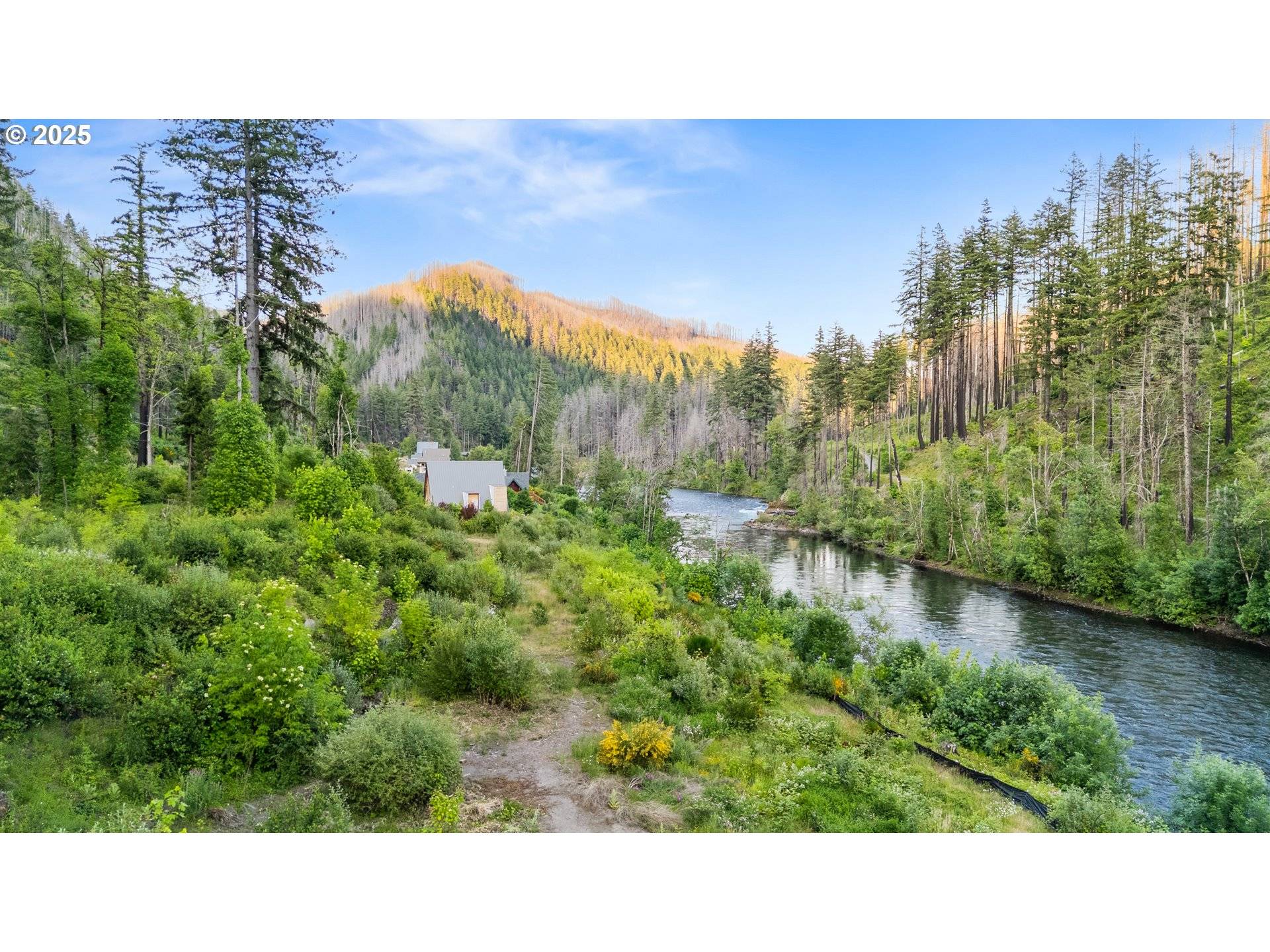 47688 MCKENZIE HWY, Vida, OR 97488
