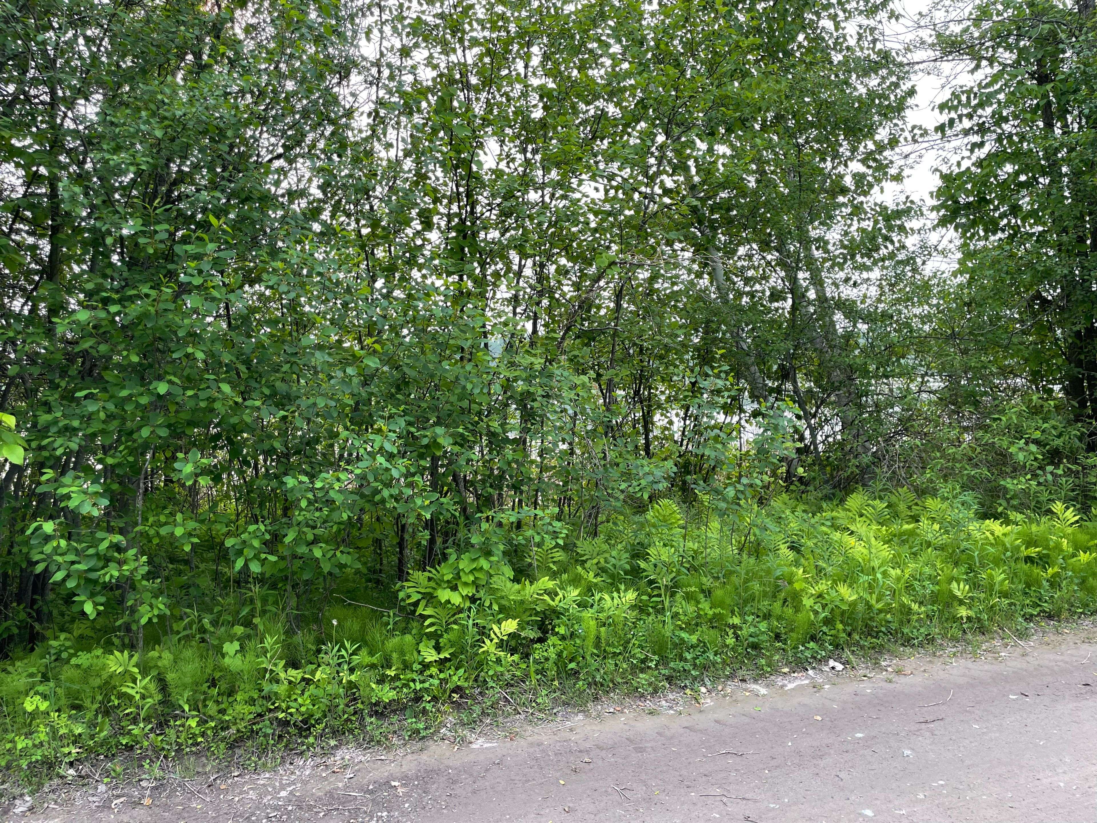 0000 Cedar Beach LN S,  North Grenville,  ON K0G 1J0