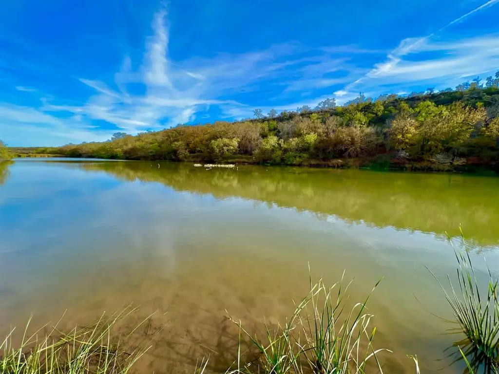 Coleman, TX 76834,TBD 151 PR 3740