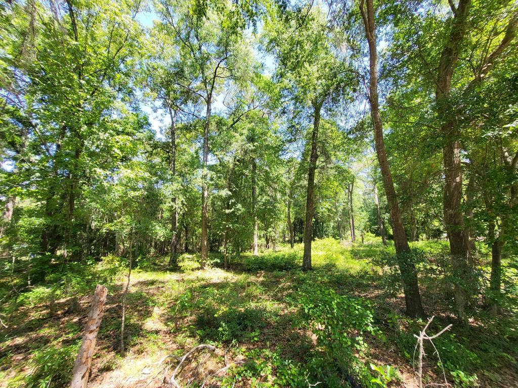 Summerton, SC 29148,Lot 20 Francis Marion Blvd