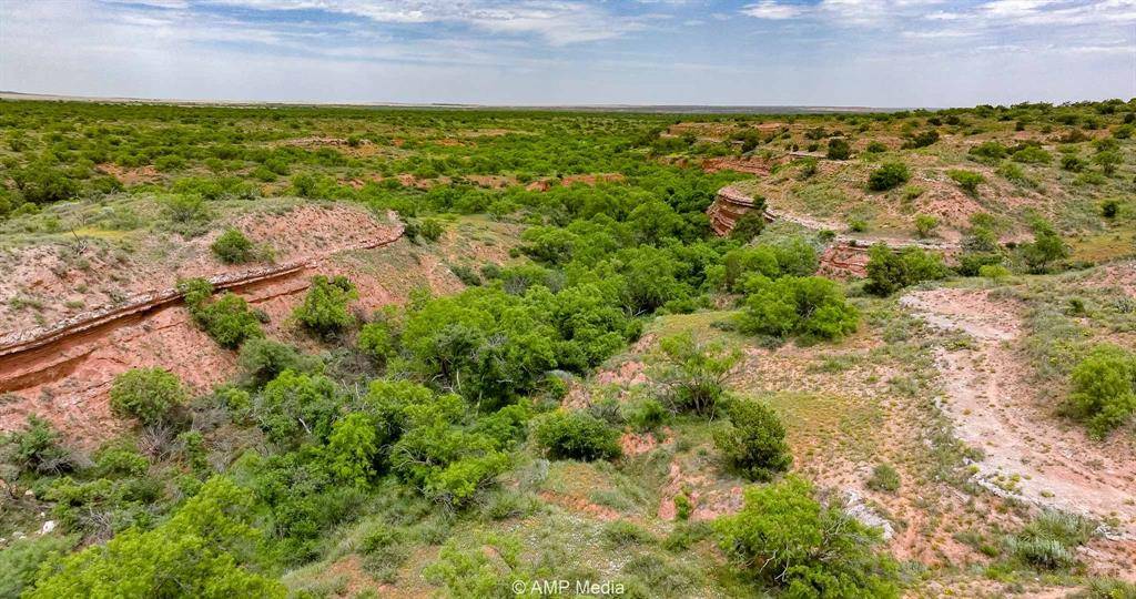 Rotan, TX 79546,TBD FM 618