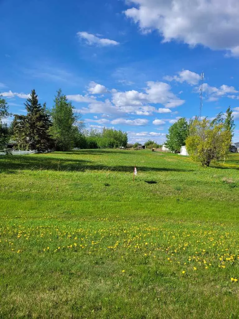 Bezanson, AB T0H 0G0,10302 100 AVE