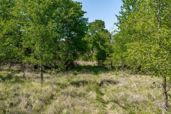Gustine, TX 76455,TBD County Road 322