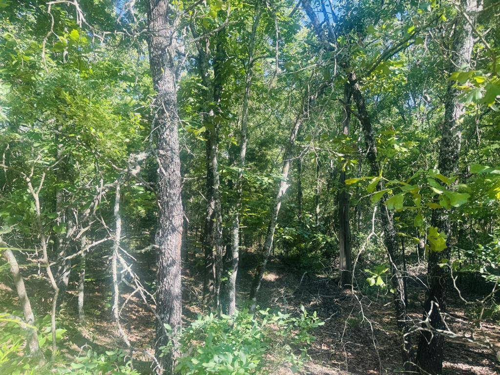 Blossom, TX 75416,000 PR 45611
