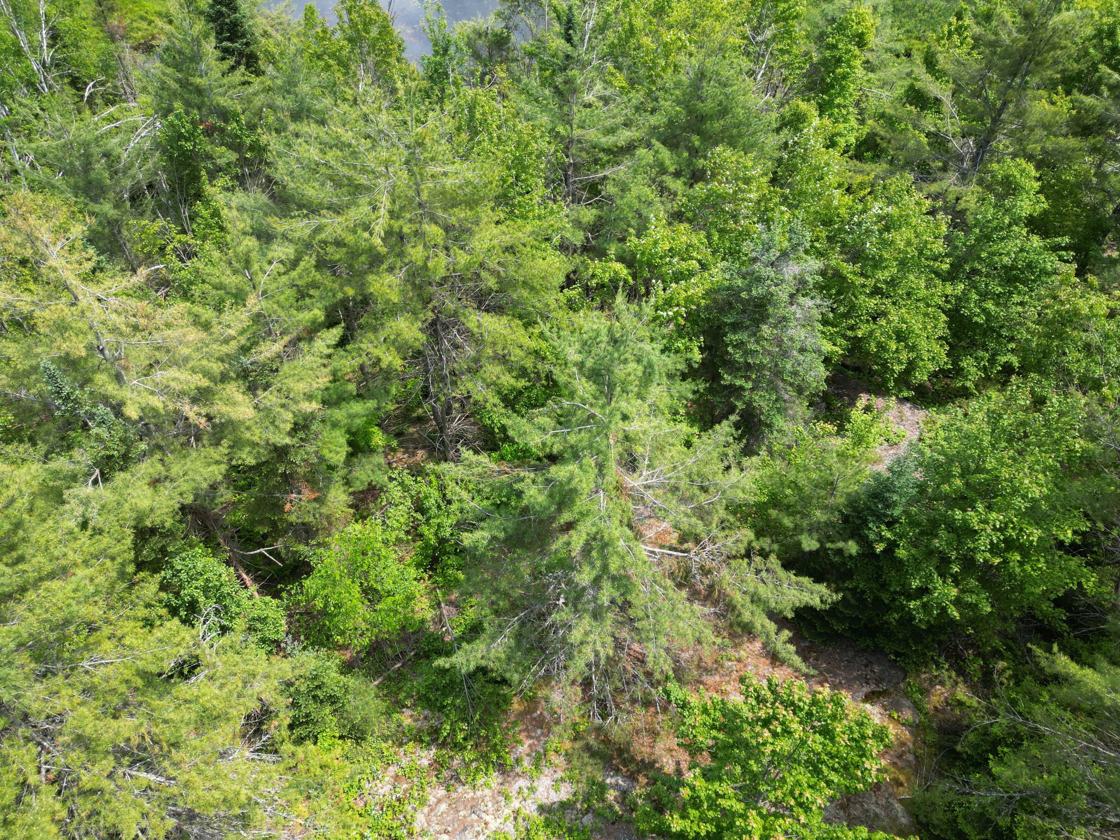 Minden Hills, ON K0M 2K0,LT 15 Concession A Gelert RD