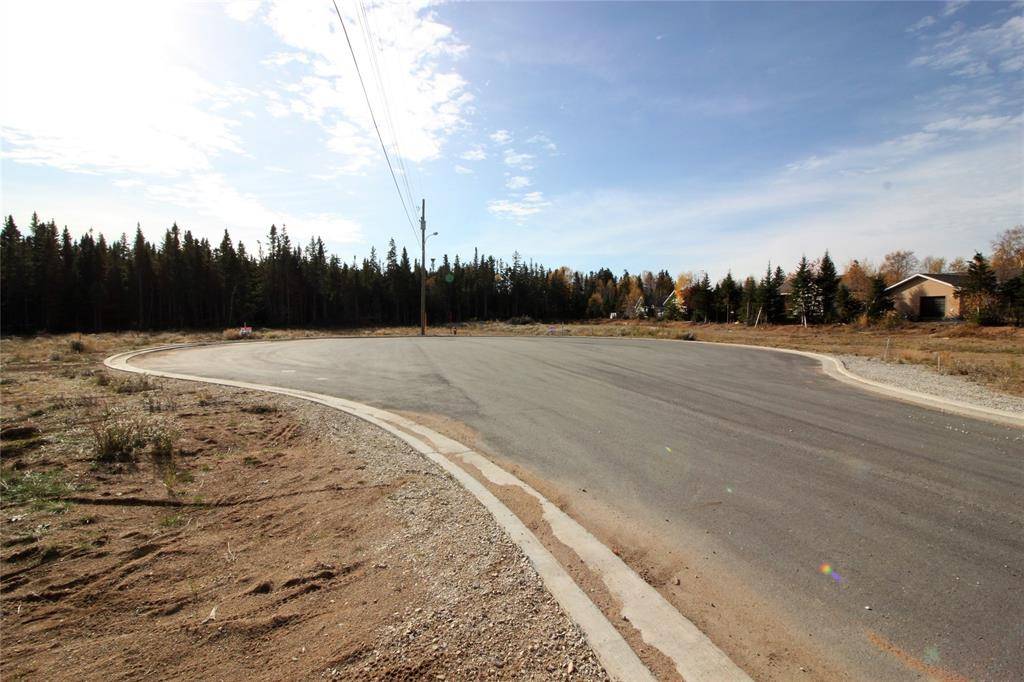 Deer Lake, NL A8A3K4,LOT 6 Stella's Place