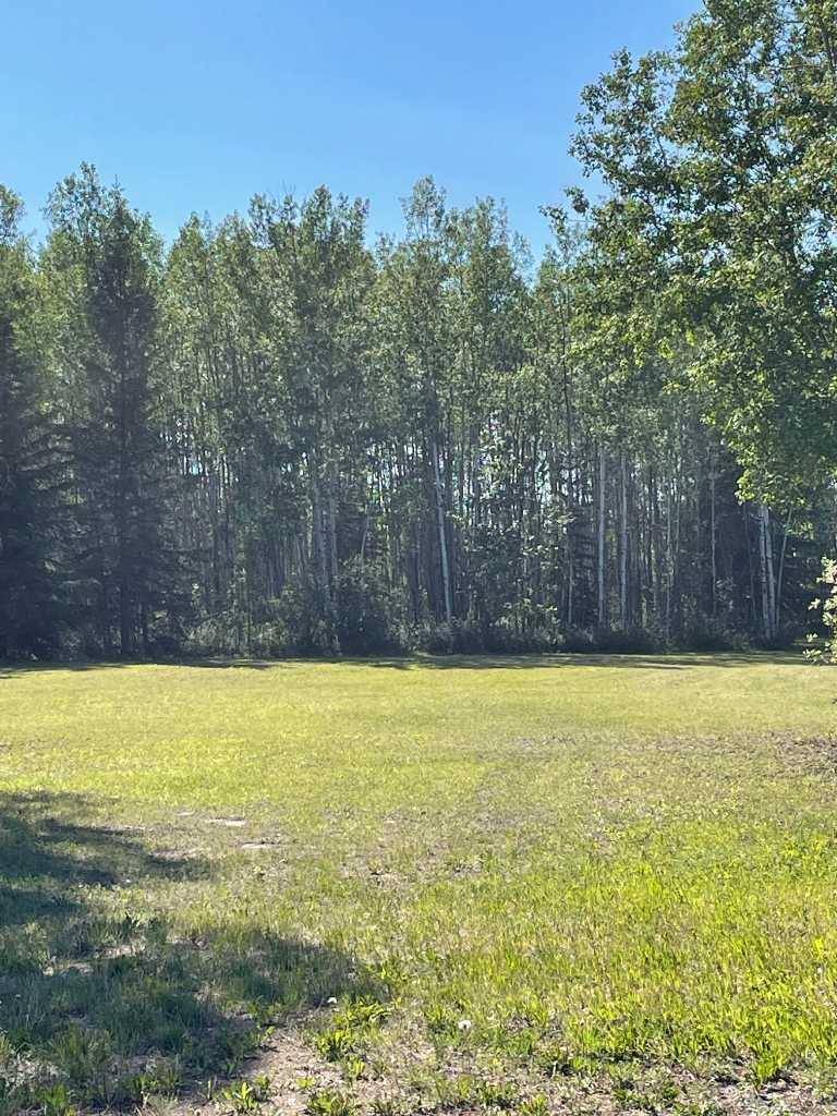 Lot #4, Rural Mackenzie County, AB T0H 1Z0
