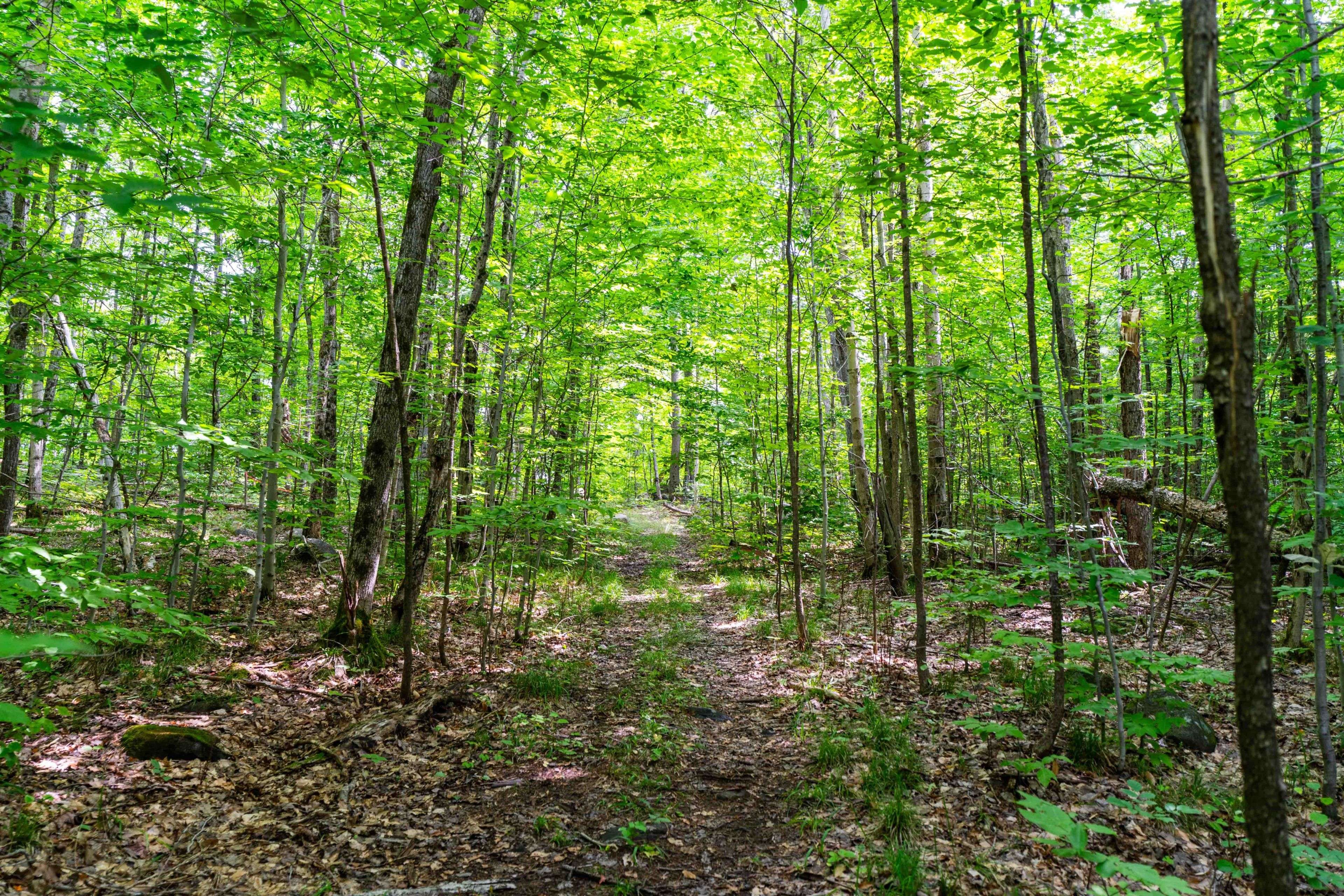 Muskoka Lakes, ON P0B 1J0,0 Rossclair RD