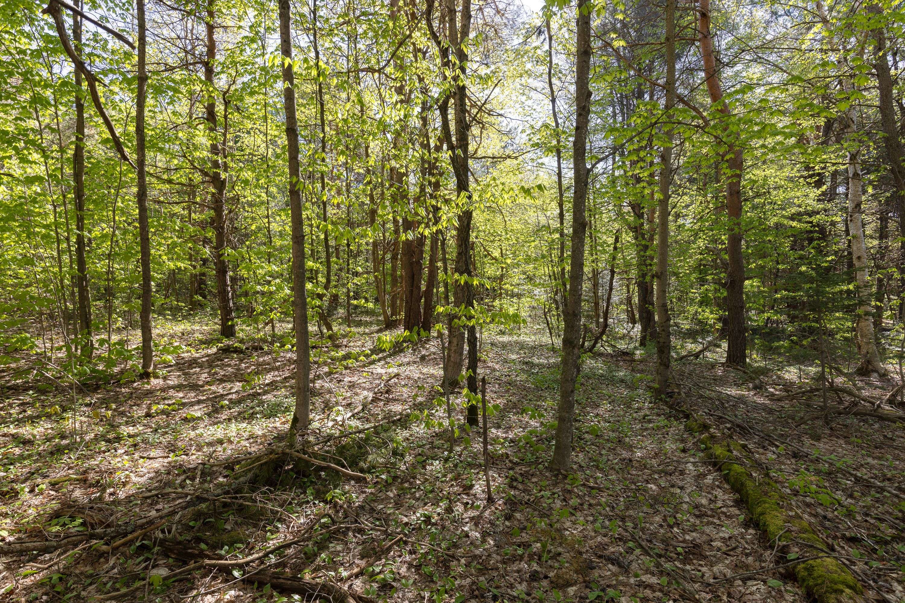 Muskoka Lakes, ON P1L 1X4,N/A Houston RD