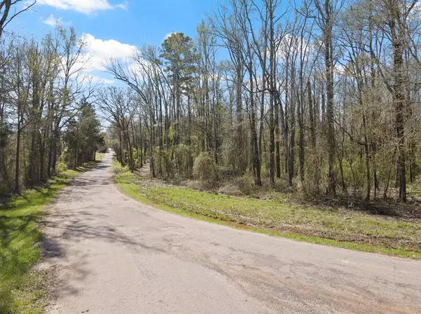Mount Pleasant, TX 75455,Lot 1 & 2 CR 4365