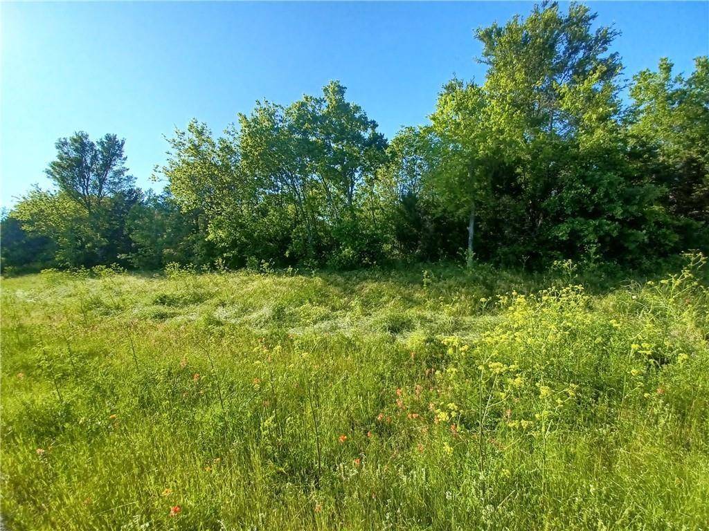 Mexia, TX 76667,TBD W HWY 84