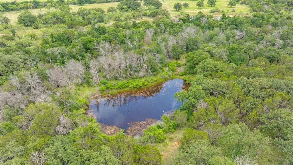 TBD County Road 109 #45, Mingus, TX 76463