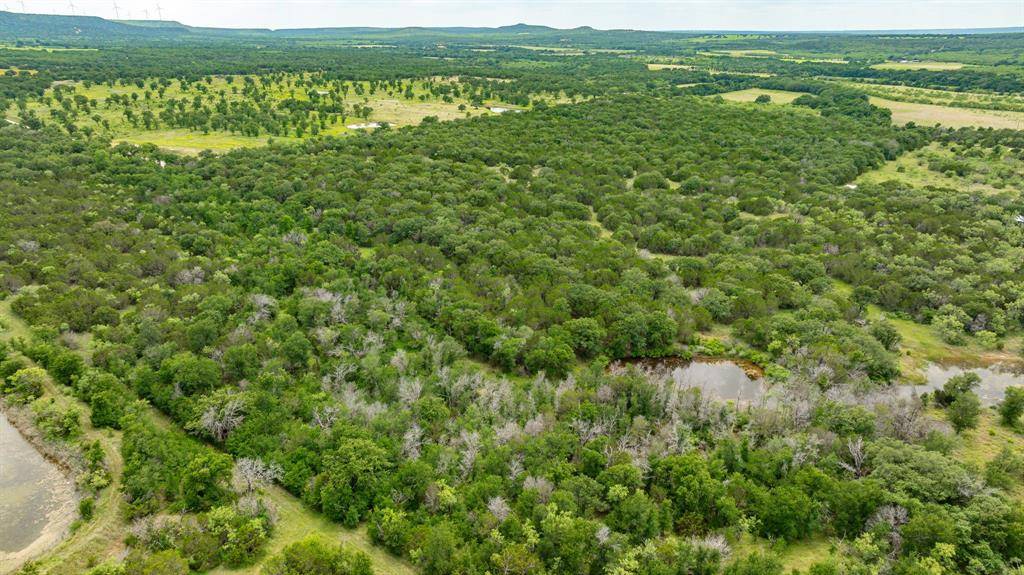 Mingus, TX 76463,TBD County Road 109 #45