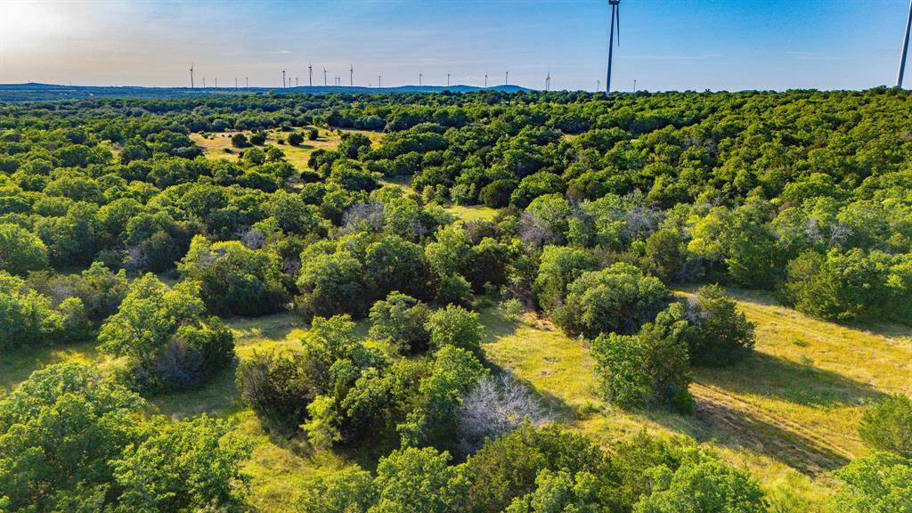 Bryson, TX 76427,TBD N. College Rd