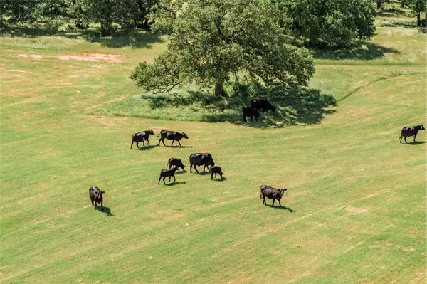Flower Mound, TX 75022,5200 Cross Timbers Road