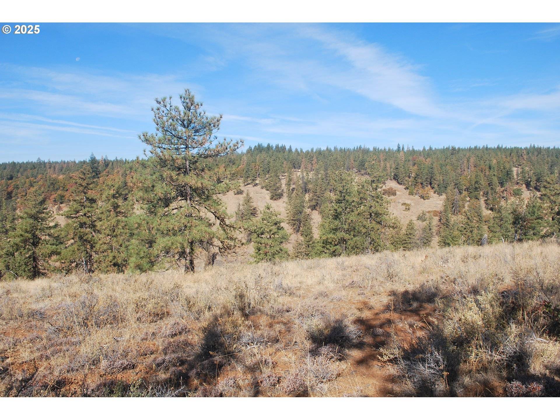 0 Hidden Meadows, Goldendale, WA 98620